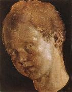 Albrecht Durer Head of a boy facing toward the left USA oil painting artist